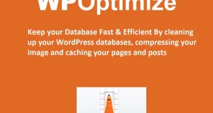 WP-Optimize Premium 3.8.1