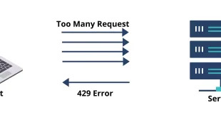 Fixing WordPress ‘Too Many Requests’ Error: Simple Solutions