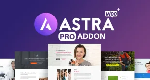 Astra Pro 4.8.9