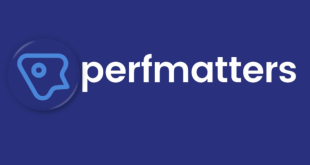 Perfmatters 2.3.7