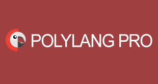 PolyLang Pro 3.6.6