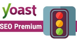 Yoast SEO Premium 24.2