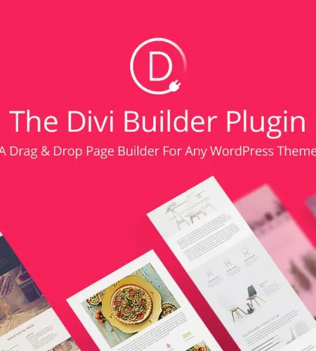 Divi Builder 4.24.5