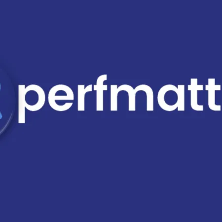 Perfmatters 2.3.7