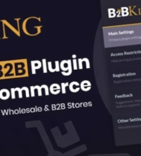 B2BKing Free Download (v5.3.41)