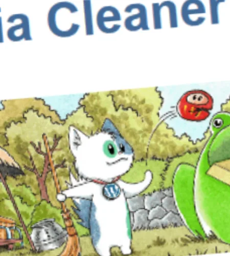 Meow Media Cleaner Pro (v6.9.3)