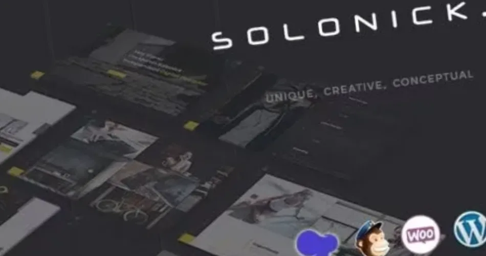 Solonick Personal Portfolio WordPress Theme