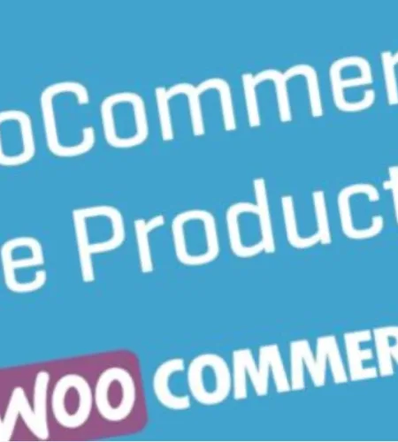 Google Product Feed for WooCommerce (v11.1.0)