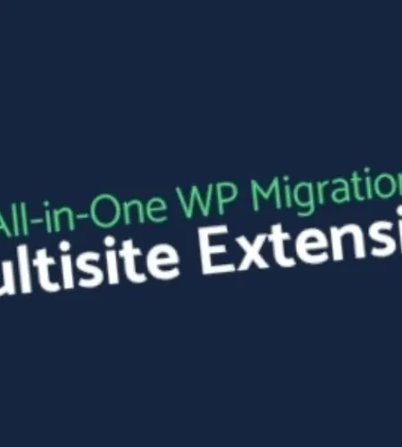 All In One WP Migration Multisite Extension (v4.49)