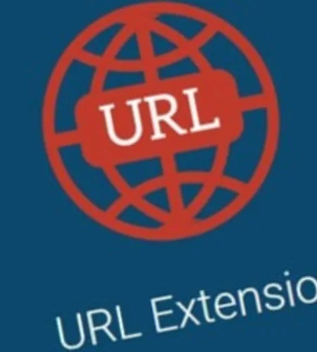 All In One WP Migration URL Extension (v2.79)