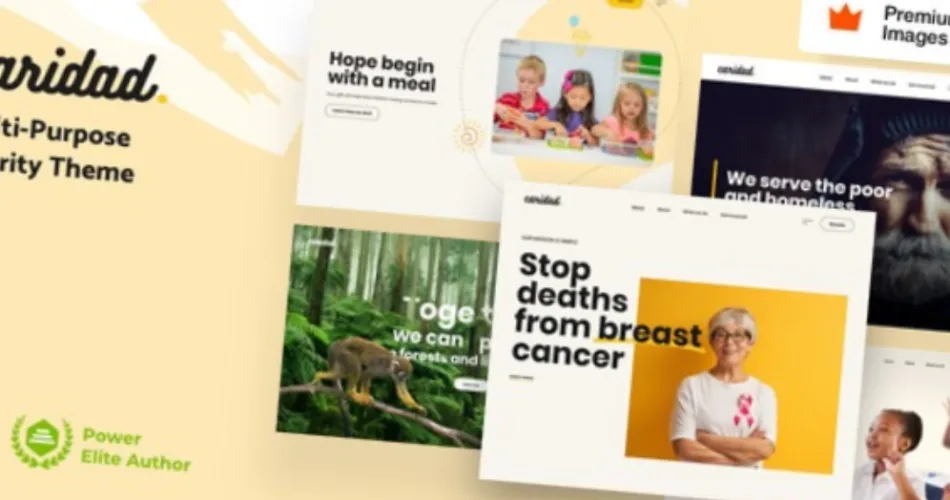 Caridad Charity WordPress