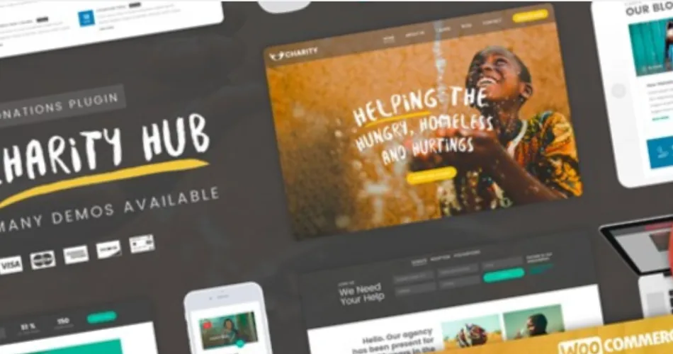 Charity Foundation Charity Hub WP Theme