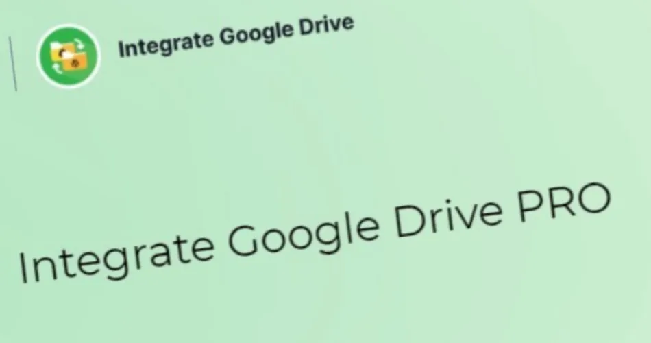 Integrate Google Drive Premium