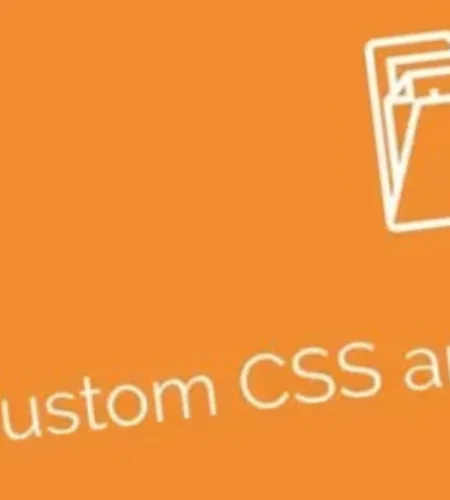 Simple Custom CSS and JS PRO (v4.41)