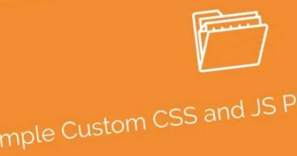 Simple Custom CSS and JS PRO