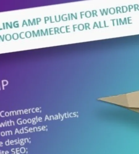 WP AMP (v9.3.36)