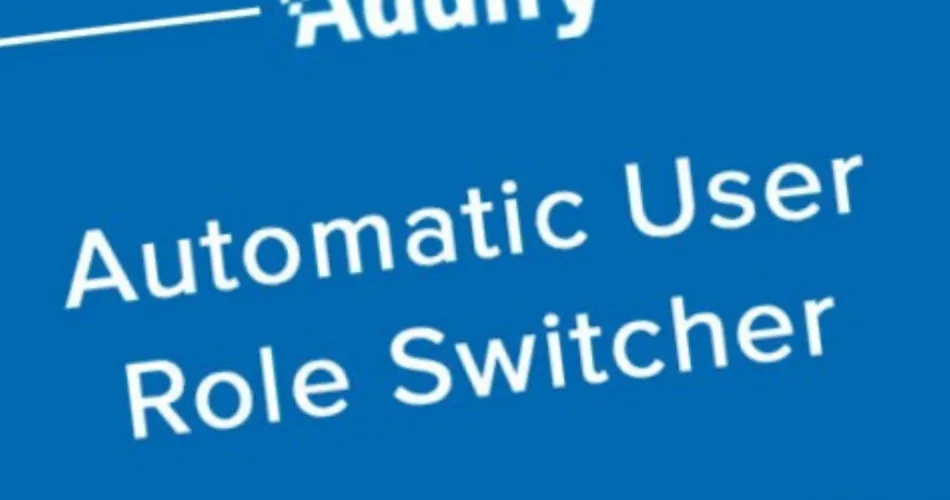 Automatic User Roles Switcher