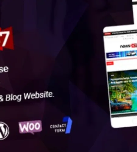 News247 Theme (v3.0.3)